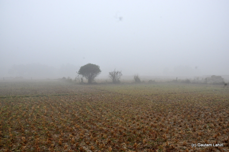 Gn brown dry fields at Bosipota by Gautam Lahiri