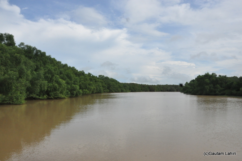 Baitarani river in Bhitarkanika taken by Gautam Lahiri