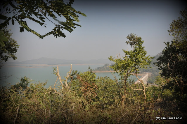 Hill top view of the lake through the trees  at Massanjore, Jharkhand, India by Gautam Lahiri