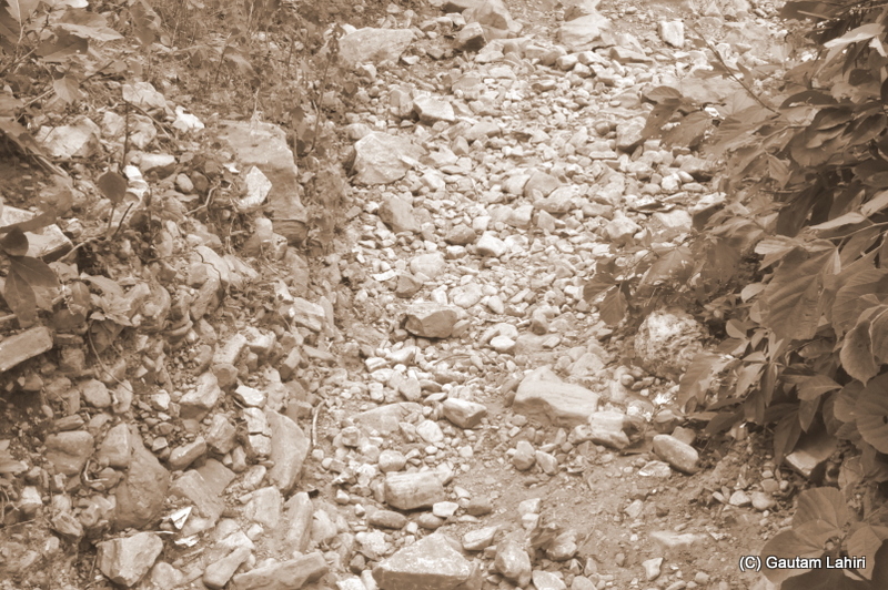 Rock-strewn dry river bed as Gaurav inched his way upwards. The feet were being rotated to hold on to the mother earth for any sort of grip that could be generated to prevent any fall backward on the Sirkabad hill at Purulia, West bengal, India by Gautam Lahiri