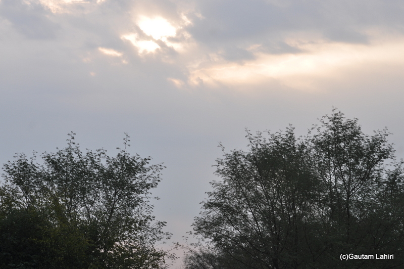 Bharatpur National Park sunrise at Keoladeo Sanctuary, Bharatpur Rajasthan taken by Gautam Lahiri