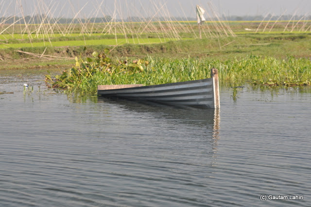 A small boat entirely made of metal tin floating aimlessly used by the nearby fishermen in Purbasthali by Gautam Lahiri