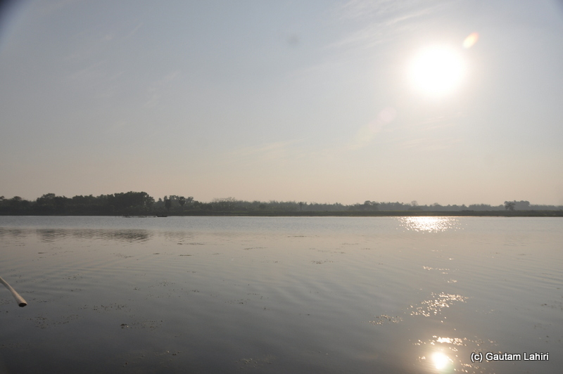 The birds had tucked away on the branches and the nearby
marshlands for the night. We too made our way for our homeward journey in Purbasthali by Gautam Lahiri