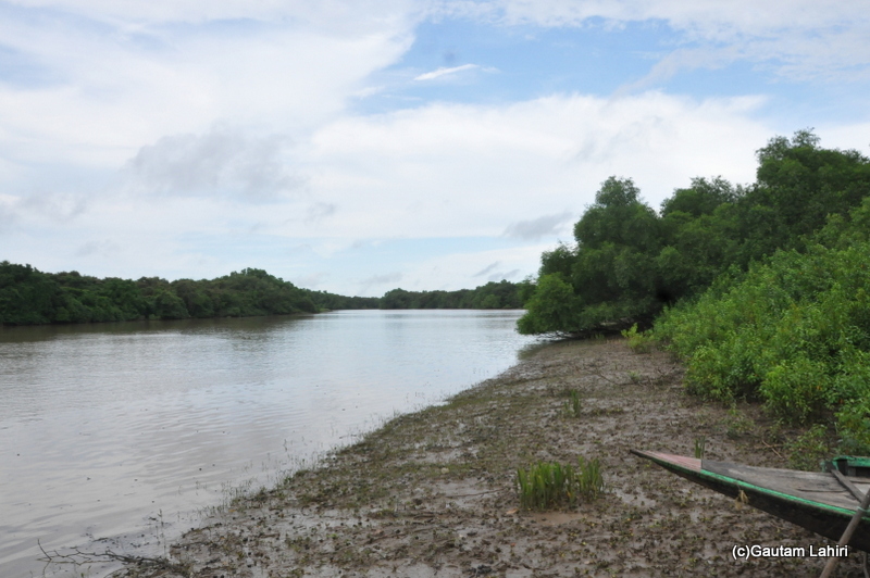 Baitarani river crocodile in Bhitarkanika taken by Gautam Lahiri