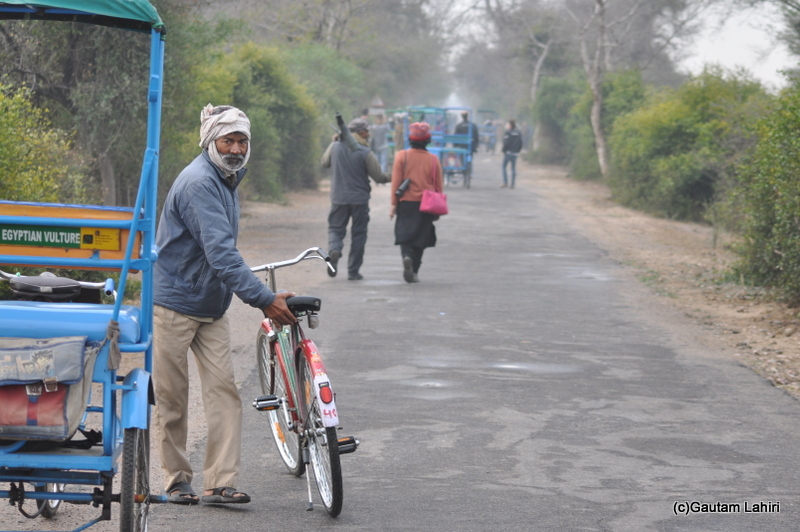 The pathway inside the Bharatpur National Bird Sanctuary at Keoladeo Sanctuary, Bharatpur Rajasthan taken by Gautam Lahiri