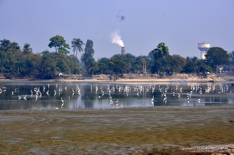 Brick kilns and water lakes on the road from Kolkata to Chandraketugarh, taken by Gautam Lahiri