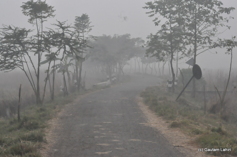The misty road had unfurled in front of us and asked us to trudge at Bosipota by Gautam Lahiri