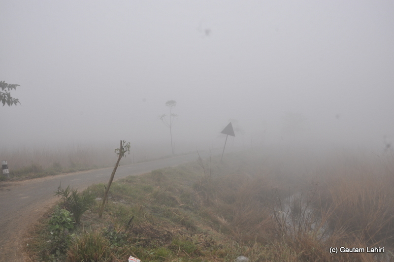 The fog had virtually blanked out in a cloudy burst at Bosipota by Gautam Lahiri
