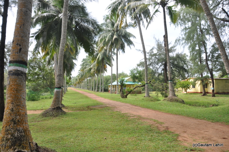 Crocodile breeding center and museum in Bhitarkanika taken by Gautam Lahiri