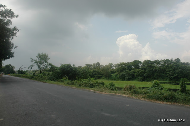 The narrow highway flanked by greenery on either side at Krishnanagar, West Bengal, India by Gautam Lahiri