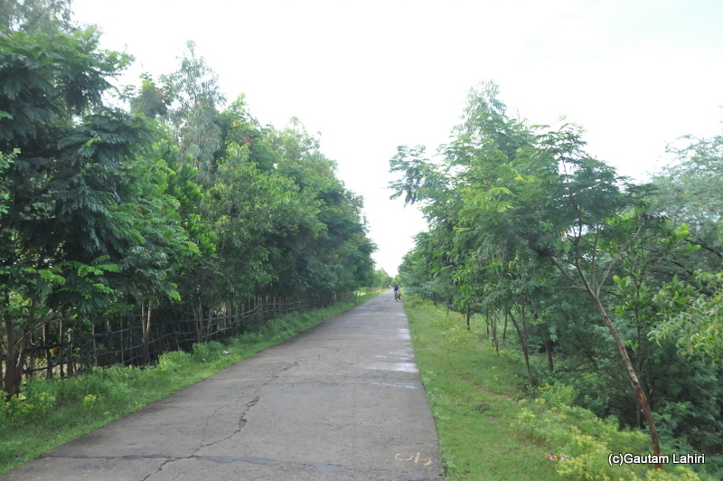 Brahmani river road in Bhitarkanika