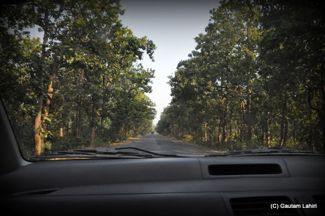 The huge sal trees rushed at speed as our Swift skimmed over the asphalt that furrowed the sprawling forest  at Massanjore, Jharkhand, India by Gautam Lahiri