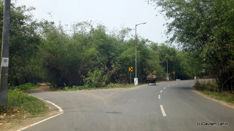 The inter-town roads that weaved through the patches of forest in Chandannagar by Gautam Lahiri