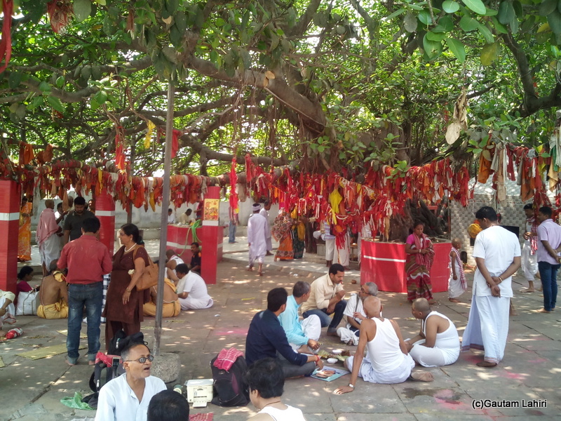 At Gaya, Pilgrims huddled up around the peepal tree where they carried out the last puja. The red clothes that hung from the branches indicated the pujas performed and each indicated a soul to be nurtured by this divine place by Gautam Lahiri