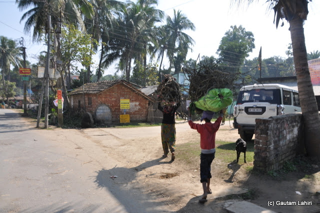 Heaps of dry woods could be seen being taken away to light the fire for the breakfast in Purbasthali by Gautam Lahiri