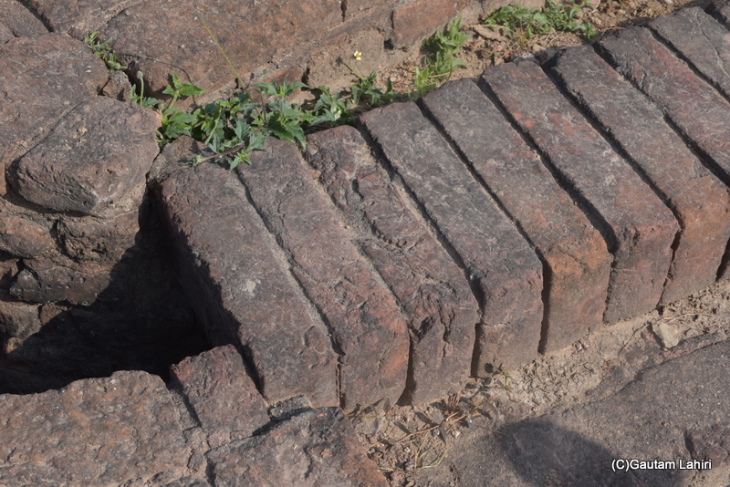 Harappa Indus Valley civilization burnt brick at Lothal, Gujarat