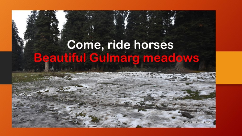 Horse riding the Gulmarg's choicest meadows over the hilly terrains of Gulmarg, Jammu & Kashmir, India