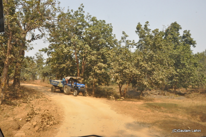 Feel the breeze of the greenish brown Sal trees – Siuri to Massanjore dam, Jharkhand,&nbsp;India