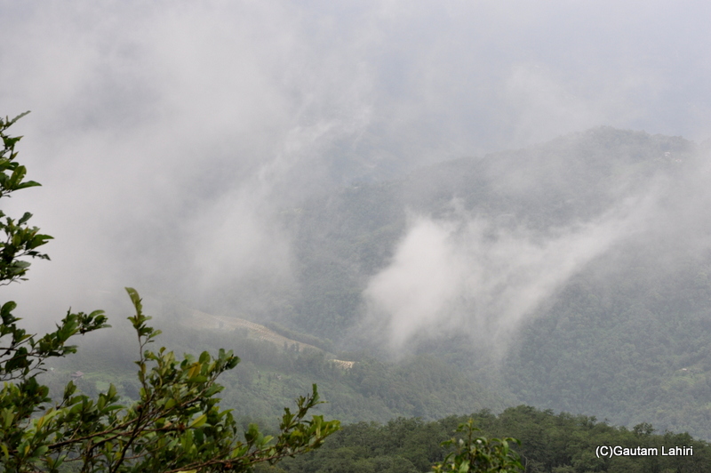 Undulating hills wrapped in cotton clouds through the waving trees were a sight to behold by gautam lahiri