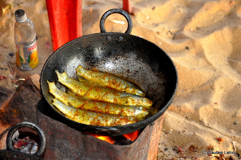 The Parshe fish, loved by Bengalis, at Diamond Harbor, India by gautam lahiri