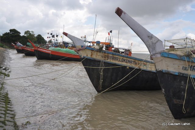 Large fishing boats moored on the banks of river Ganges at Diamond Harbor, West Bengal, India by Gautam Lahiri
