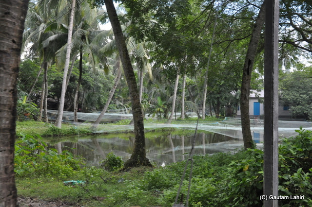 Fishing nets strung at Diamond Harbor, West Bengal, India by Gautam Lahiri