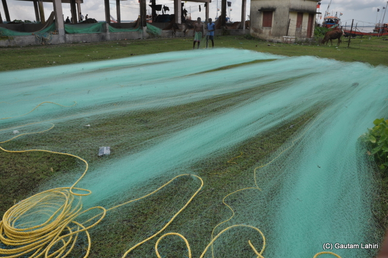 Fishing nets strung at Diamond Harbor, West Bengal, India by Gautam Lahiri