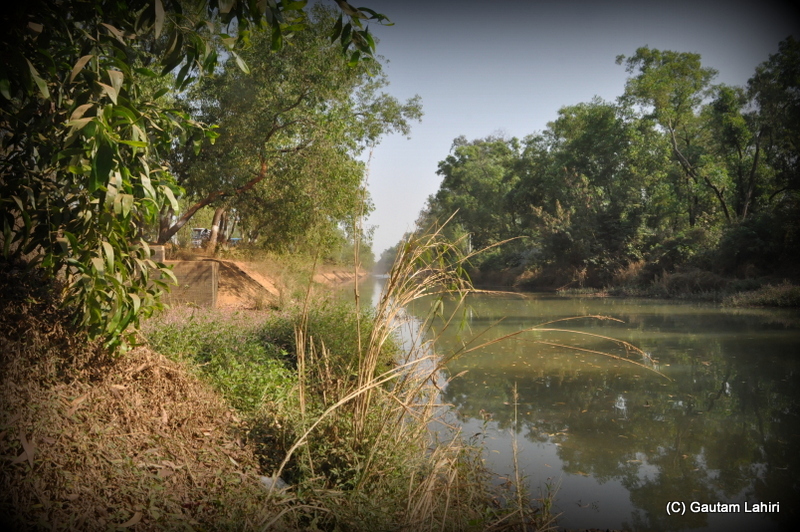 The Khoai river making its way  at Santiniketan, West Bengal, India by Gautam Lahiri