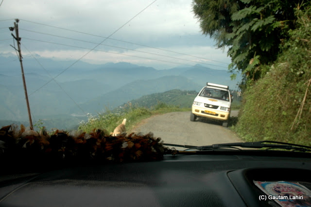 Driving with the utmost care, balancing the car between the death on the left and the car in the opposite direction...quite an interesting moment  at Darjeeling, West Bengal, India by Gautam Lahiri