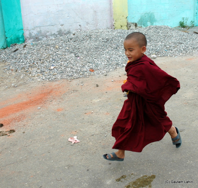 A little lama boy from the monastery was playing cricket as we visited  at Darjeeling, West Bengal, India by Gautam Lahiri