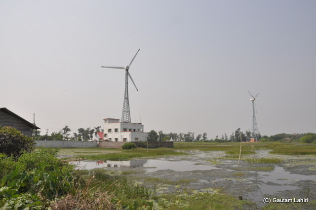 Wind mills at Henry Island, Bakkhali beach, West Bengal, India near Bay of Bengal by Gautam Lahiri
