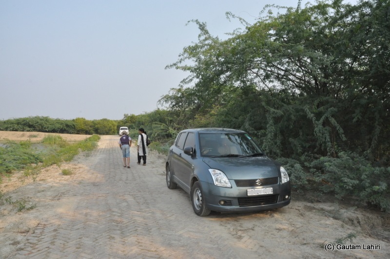 At Henry Island, Bakkhali beach, West Bengal, India near Bay of Bengal by Gautam Lahiri