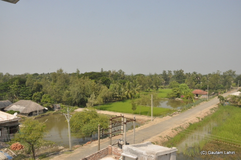 At Henry Island, Bakkhali beach, West Bengal, India near Bay of Bengal by Gautam Lahiri