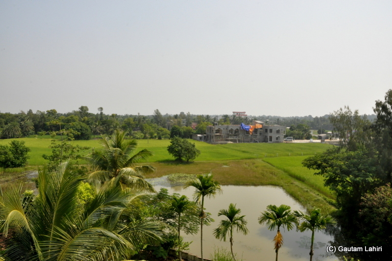At Henry Island, Bakkhali beach, West Bengal, India near Bay of Bengal by Gautam Lahiri
