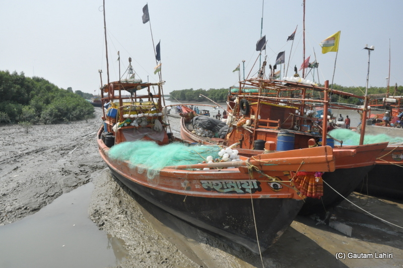 Frasergunj, Bakkhali beach, West Bengal, India near Bay of Bengal by Gautam Lahiri