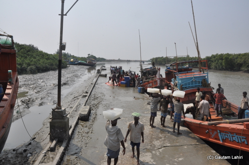 Frasergunj, Bakkhali beach, West Bengal, India near Bay of Bengal by Gautam Lahiri