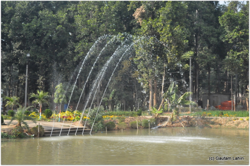 A water mist from the jets hung on the western lake fringe which the swimming ducks constantly wandered at Joypur jungle, Bankura by Gautam Lahiri

