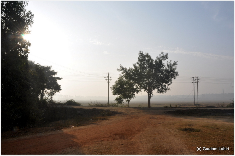 A lone tree stands at the edge of the soccer field while the road veers off left and intersected a patch of deep forest in Joypur forest, Bankura by Gautam Lahiri
