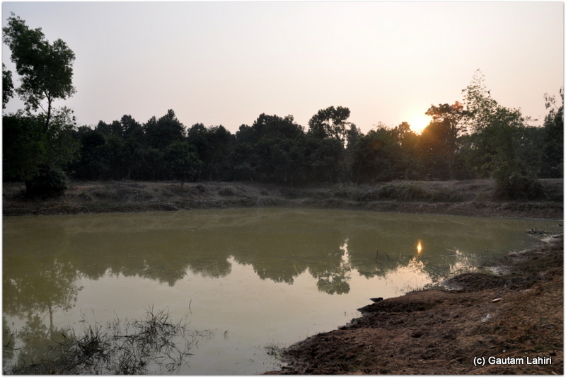 Walking back along the pond. Apart from occasional ripples caused by the resident fishes, the pond surface looked like a stained glass at Joypur jungle, Bankura by Gautam Lahiri