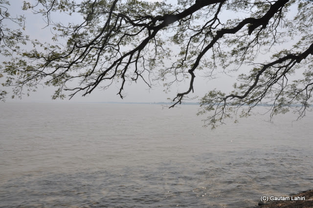 The sun had moved back, creating long shadows of the tree branches over the slow-moving river at Gadiara, Hooghly, West Bengal, India by Gautam Lahiri