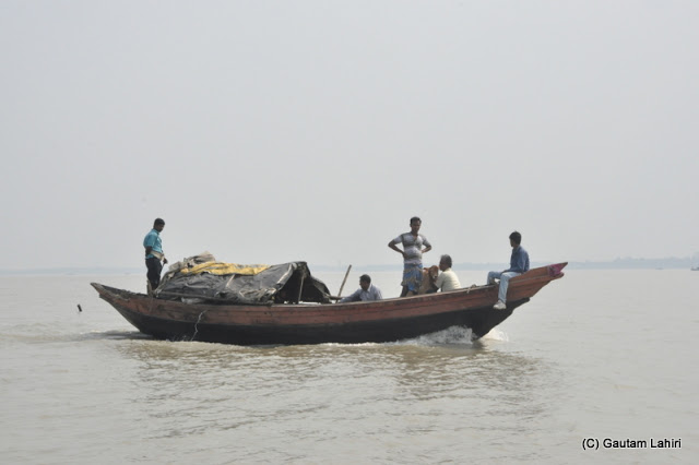 A boat moves at a speed alongside our steamer to take its ailing passenger, a calf  to a veterinarian at Gadiara, Hooghly, West Bengal, India by Gautam Lahiri