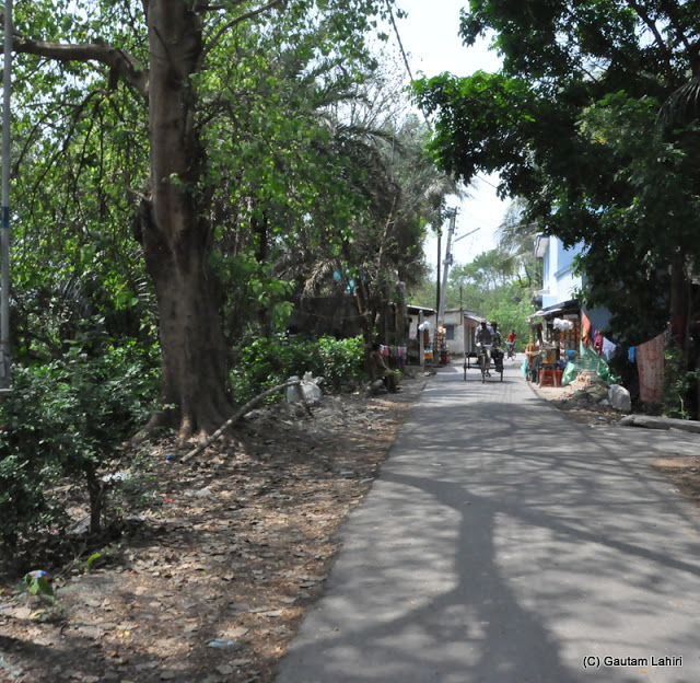 Numerous slender roads of Taki that can be seen woven across the town. Driving a car was quite difficult as the rickshaws that travel along refuse to give way to any other vehicle at Taki, West Bengal, India by Gautam Lahiri
