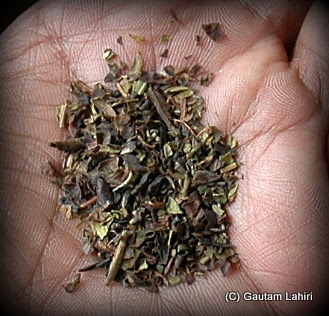 The famous Darjeeling black tea leaves from a nearby stall in the garden. The aroma itself was so good, that we took three cups of it with various combinations of milk, and no milk; the liquor type is very translucent if properly made  at Darjeeling, West Bengal, India by Gautam Lahiri