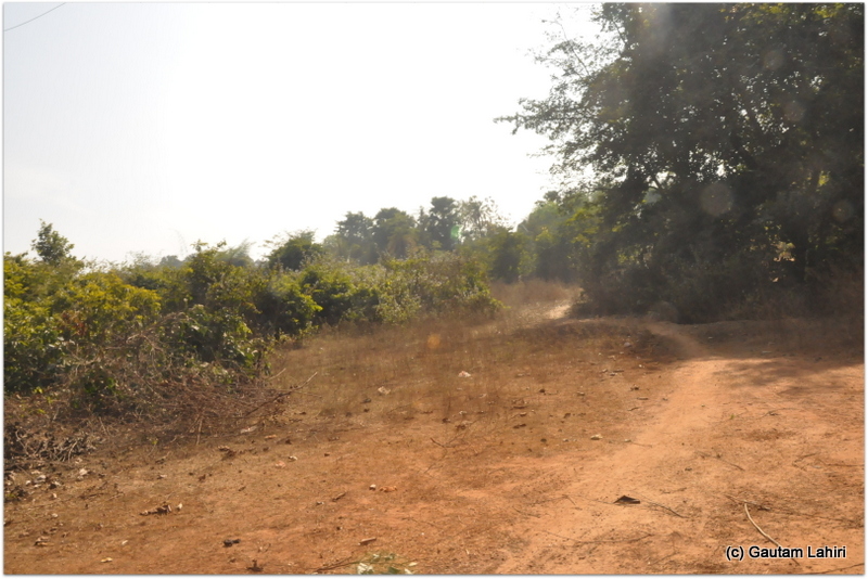 The road disappearing among the trees. We were on our own at Joypur jungle, Bankura by Gautam Lahiri