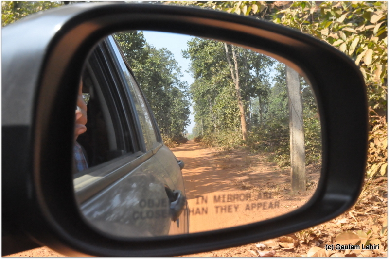 We were alone now. The black hump in the distance was not an animal but the shadows cast by the trees at Joypur jungle, Bankura by Gautam Lahiri