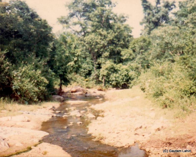 The near dry stream in the Betla forest reserve, Jharkhand, India by Gautam Lahiri