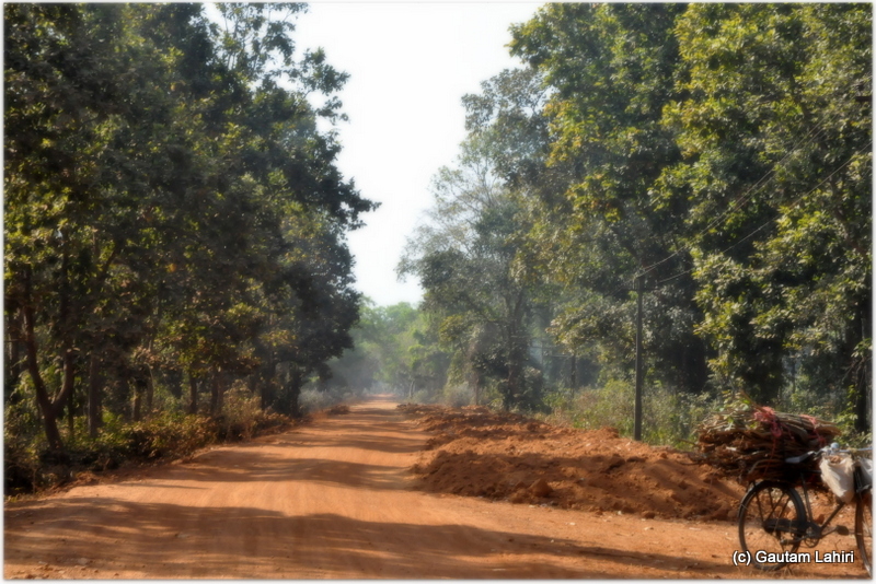 The road to the airfield was uneven, dusty and remote. The dense jungle made us think that an elephant may be seen grazing, we pressed on with a prospect of encountering one at Joypur jungle, Bankura by Gautam Lahiri