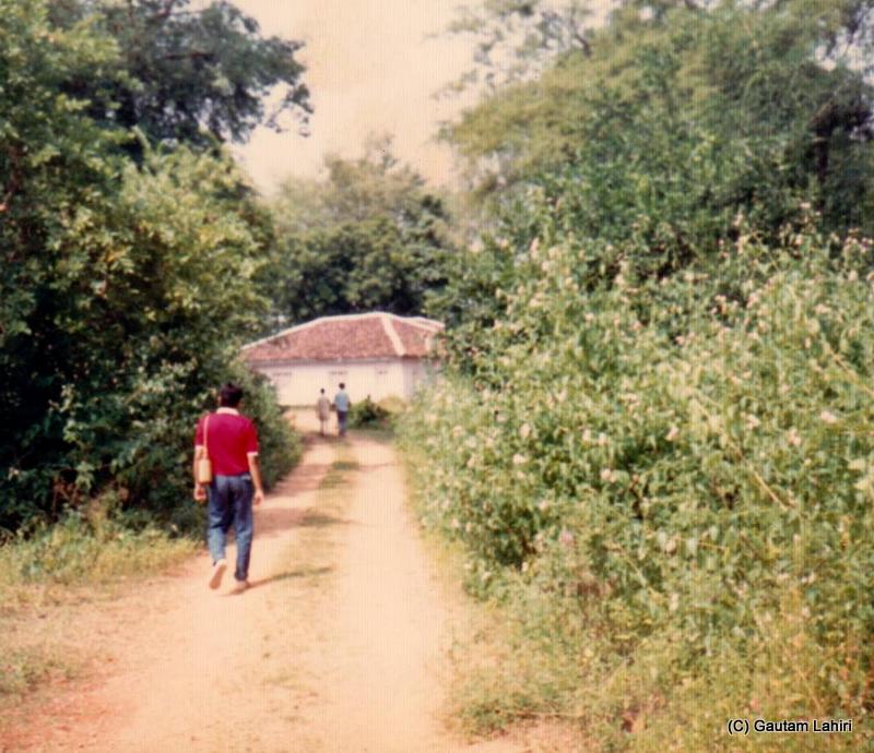 Our duck bunglow road at Kechki, Jharkhand, Indua by Gautam Lahiri