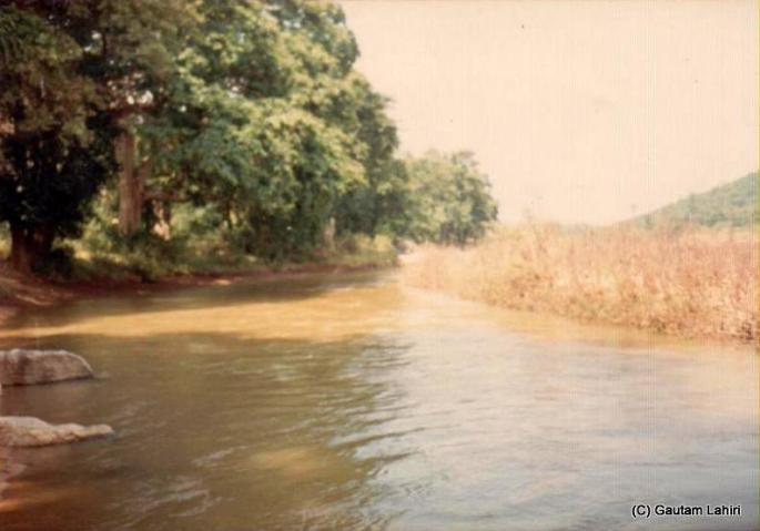Koel river flowing through the Betla forest reserve in Jharkhand, India by Gautam Lahiri