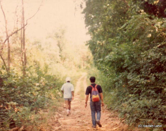 Walking through the jungles of Betla forest reserve, Jharkhand, India by Gautam Lahiri